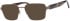 Ferucci F2067 glasses in Brown