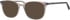 Ferucci F2201 glasses in Grey