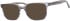 Ferucci F2211 glasses in Grey/Blue