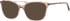 Ferucci F485 glasses in Light Brown