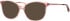 Ferucci F486 glasses in Pink