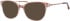 Ferucci F490 glasses in Brown