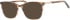 Ferucci F494 glasses in Brown