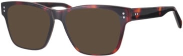 Synergy Syn-6048 glasses in Havana