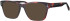 Synergy Syn-6048 glasses in Havana
