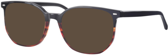 Synergy Syn-6055 glasses in Black/Brown