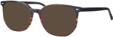 Synergy Syn-6055 glasses in Black/Brown