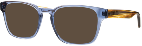 Synergy Syn-6062 glasses in Blue/Brown