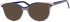 Synergy Syn-6084 glasses in Navy/Beige