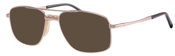 Visage V405 glasses in Gold