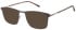CAT CPO-3546 sunglasses in Grey