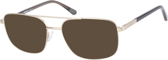 CAT CTO-3016 sunglasses in Matt Gold
