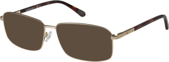 CAT CTO-3028 sunglasses in Matt Gold/Tortoise