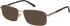 CAT CTO-3028 sunglasses in Matt Gold/Tortoise