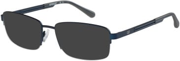 CAT CTO-3031 sunglasses in Navy