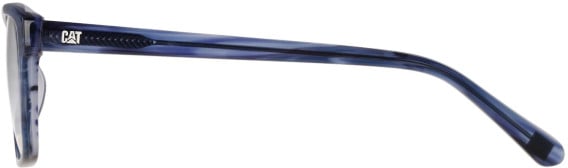 CAT CTO-3051 sunglasses in Blue