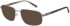 CAT CTO-3056 sunglasses in Grey