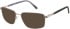 CAT CTO-3059 sunglasses in Silver