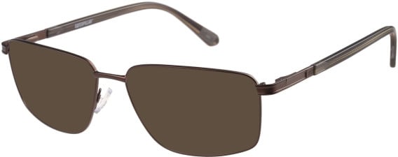 CAT CTO-3059 sunglasses in Brown