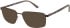 CAT CTO-3059 sunglasses in Brown