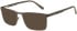 CAT CTO-3061 sunglasses in Grey