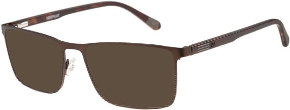 CAT CTO-3061 sunglasses in Brown