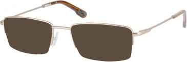 CAT CTO-TINKER sunglasses in Matt Gold