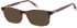 O'Neill ONB-4022 sunglasses in Gloss Tortoise