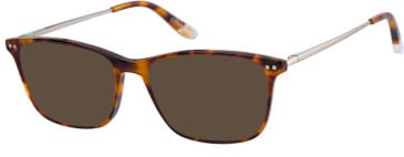O'Neill ONB-4024 sunglasses in Gloss Tortoise