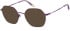 O'Neill ONB-4034 sunglasses in Matt Purple