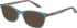 O'Neill ONO-4517 sunglasses in Matt Teal