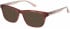 O'Neill ONO-AMBU Sunglasses in Matt Brown Linen