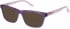 O'Neill ONO-AMBU Sunglasses in Matt Purple Linen