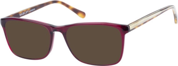 Radley RDO-6010 sunglasses in Purple Tortoise