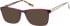 Radley RDO-6010 sunglasses in Purple Tortoise