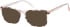 Radley RDO-6010 sunglasses in Pink Tortoise