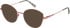 Radley RDO-6022 sunglasses in Rose Gold Burgundy
