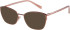 Radley RDO-6028 sunglasses in Matt Rose Gold