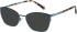Radley RDO-6028 glasses in Silver Blue