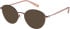 Radley RDO-6029 sunglasses in Matt Rose Gold