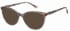 Radley RDO-6036 sunglasses in Grey Crystal