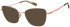 Radley RDO-6037 sunglasses in Gold