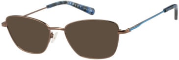 Radley RDO-6041 sunglasses in Purple/Rose Gold