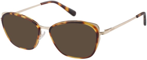 Radley RDO-6049 sunglasses in Tort/Gold