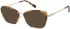 Radley RDO-6049 sunglasses in Tort/Gold