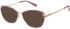 Radley RDO-6049 sunglasses in Purple