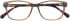 Radley RDO-6050 sunglasses in Brown