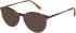 Radley RDO-6059 sunglasses in Purple