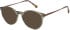 Radley RDO-6059 sunglasses in Green