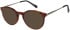 Radley RDO-6059 sunglasses in Tort